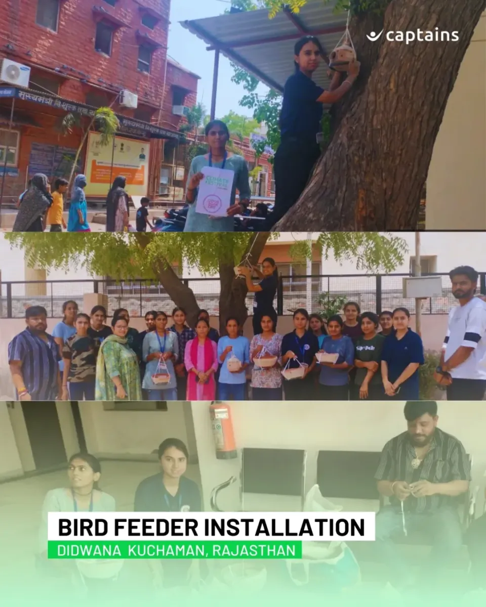 18 Volunteers Installed Bird Feeder In Rajasthan